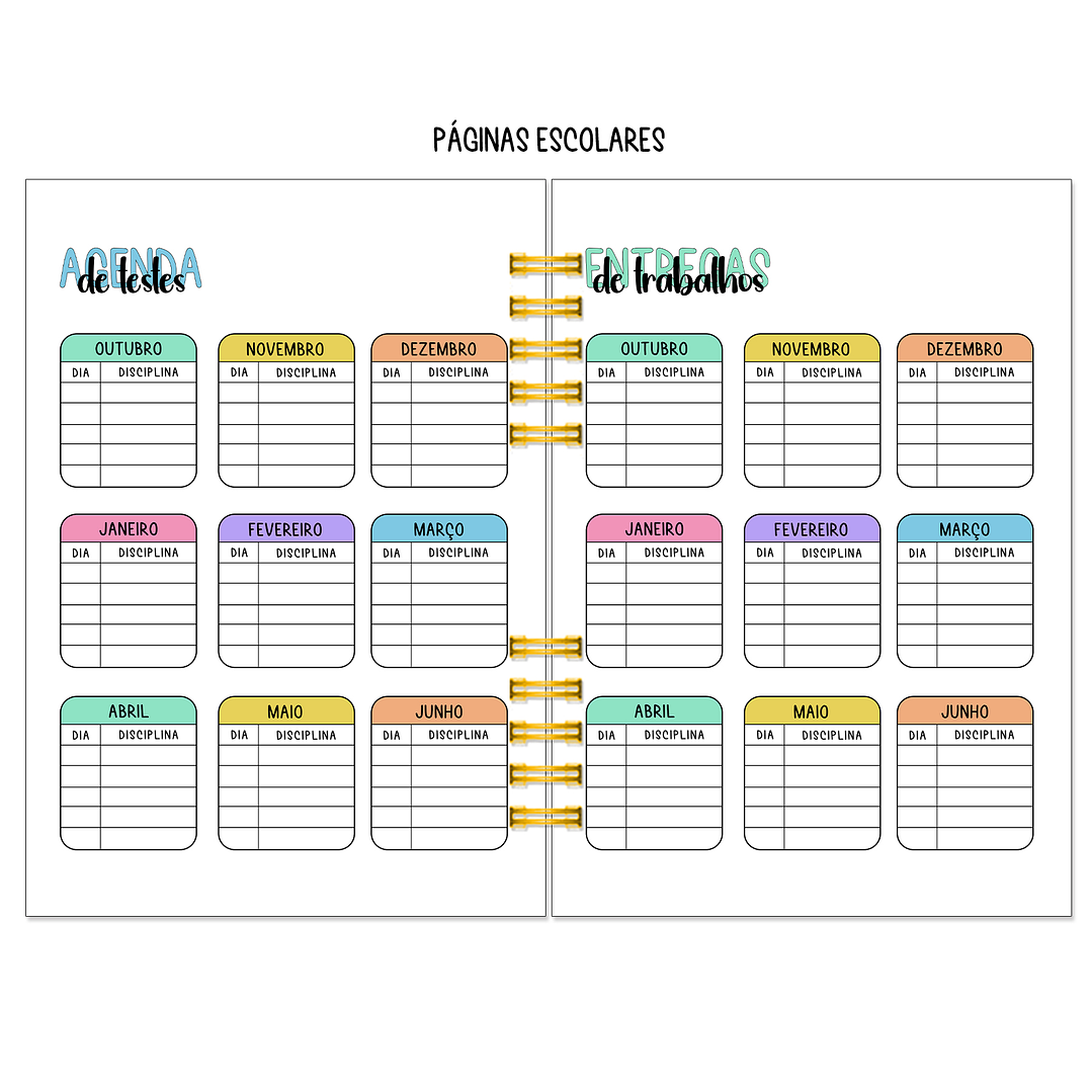 Agenda Diária 16 Meses + Kit de Oferta 🎁 9