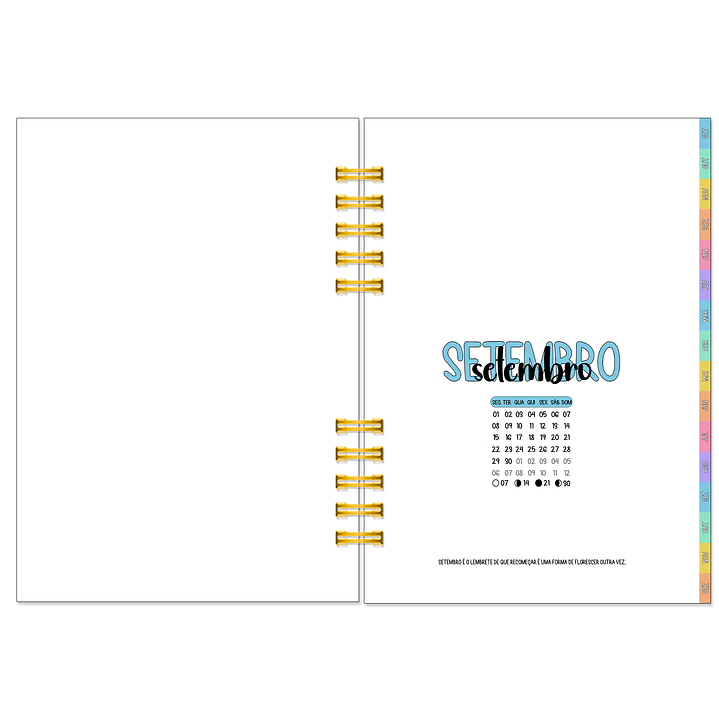 Agenda Diária 16 Meses + Kit de Oferta 🎁 10