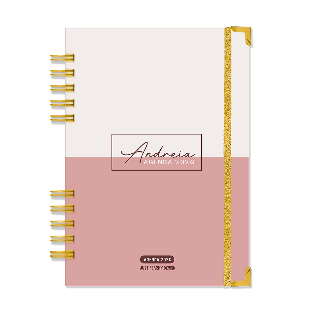Agenda Diária Profissional 16 Meses + Kit de Oferta 🎁 1