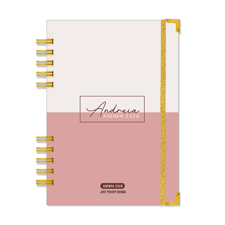 Agenda Diária Profissional 16 Meses + Kit de Oferta 🎁 1