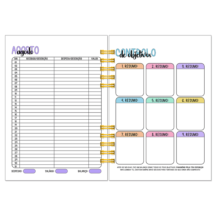 Agenda Diária Profissional 16 Meses + Kit de Oferta 🎁 10