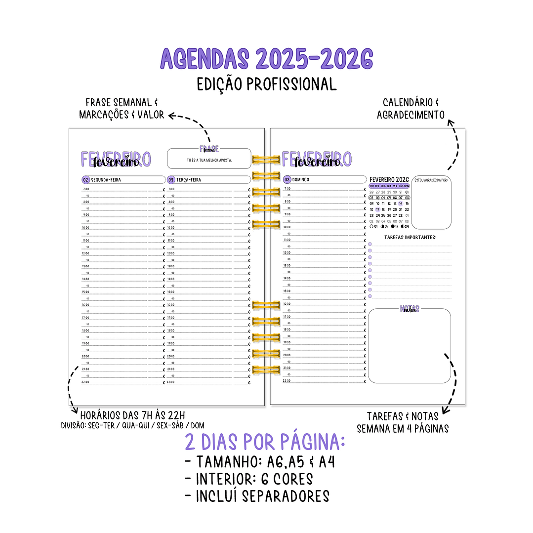 Agenda Diária Profissional Anual 2026 8