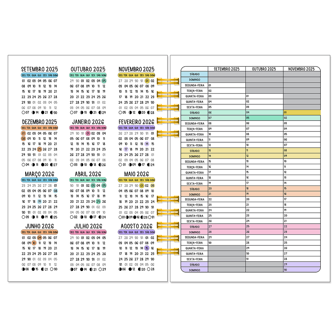 Agenda Enfermeira Anual 2026 4
