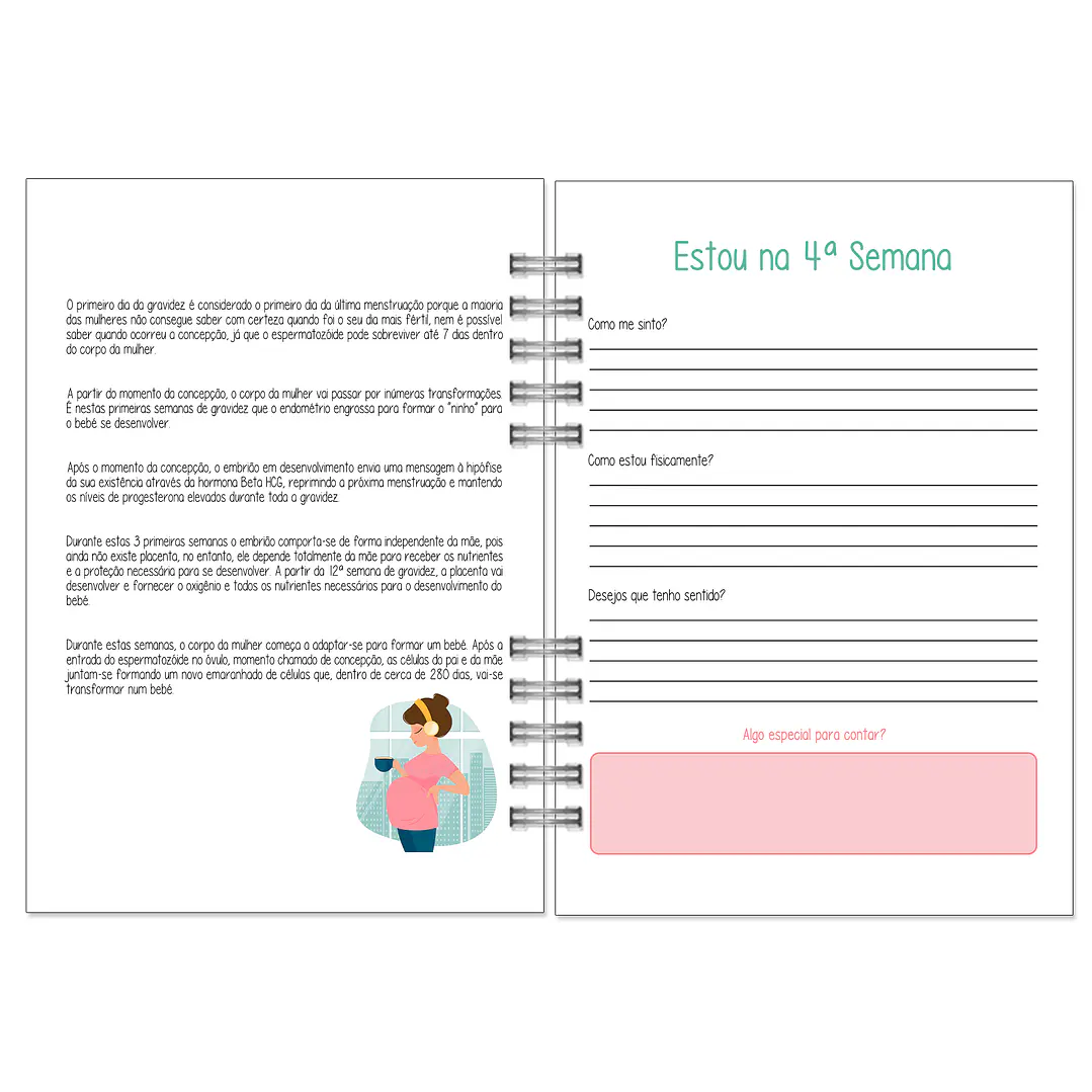 Agenda de Grávida 🤰 — Miquinhas Eventos · Capa Boss Baby 💚 10