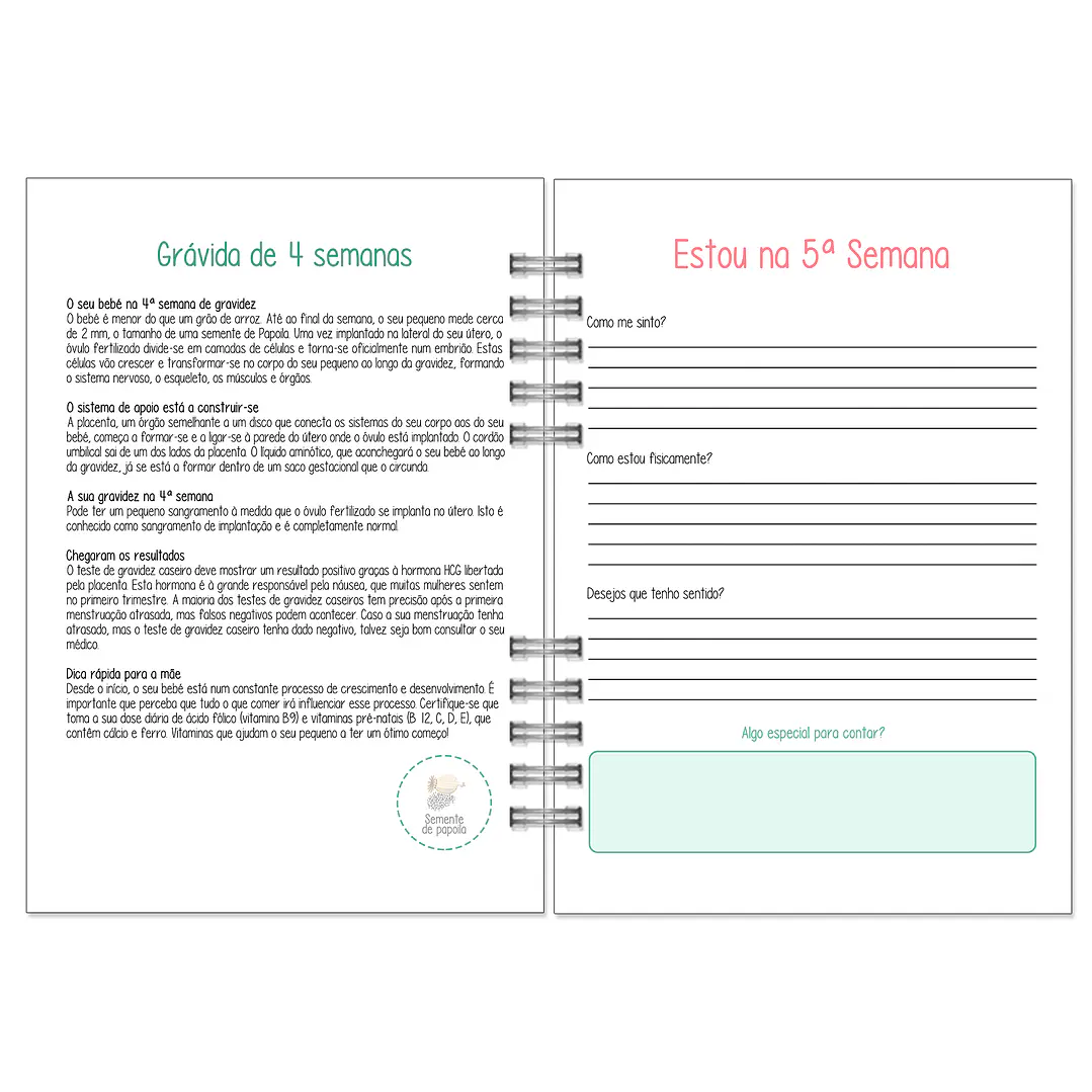 Agenda de Grávida 🤰 — Miquinhas Eventos · Capa Boss Baby 💚 11