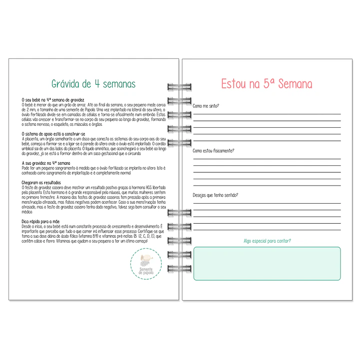 Agenda de Grávida 🤰 — Miquinhas Eventos · Capa Boss Baby 💚 11
