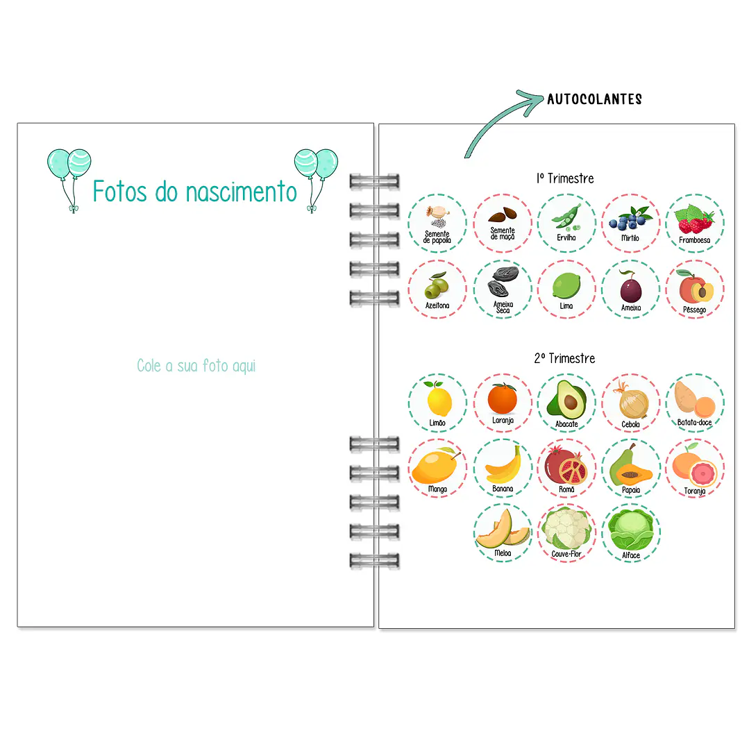 Agenda de Grávida 🤰 — Miquinhas Eventos · Capa Boss Baby 💚 19