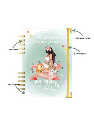 Agenda de Grávida 🤰 — Miquinhas Eventos · Capa Boss Baby 💚