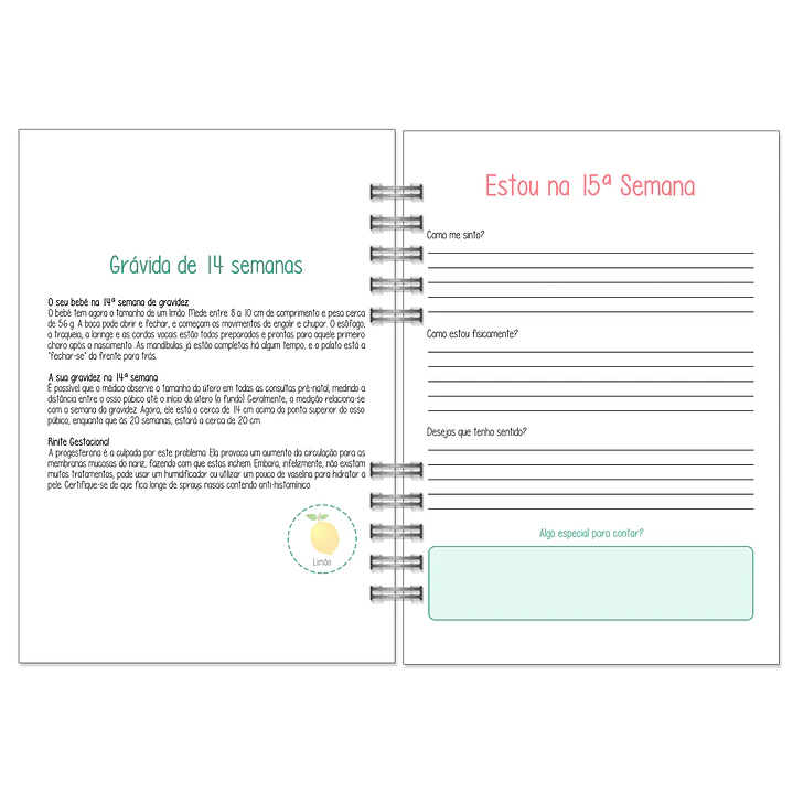 Agenda de Grávida 🤰 — Capa Dois Corações 💛 14