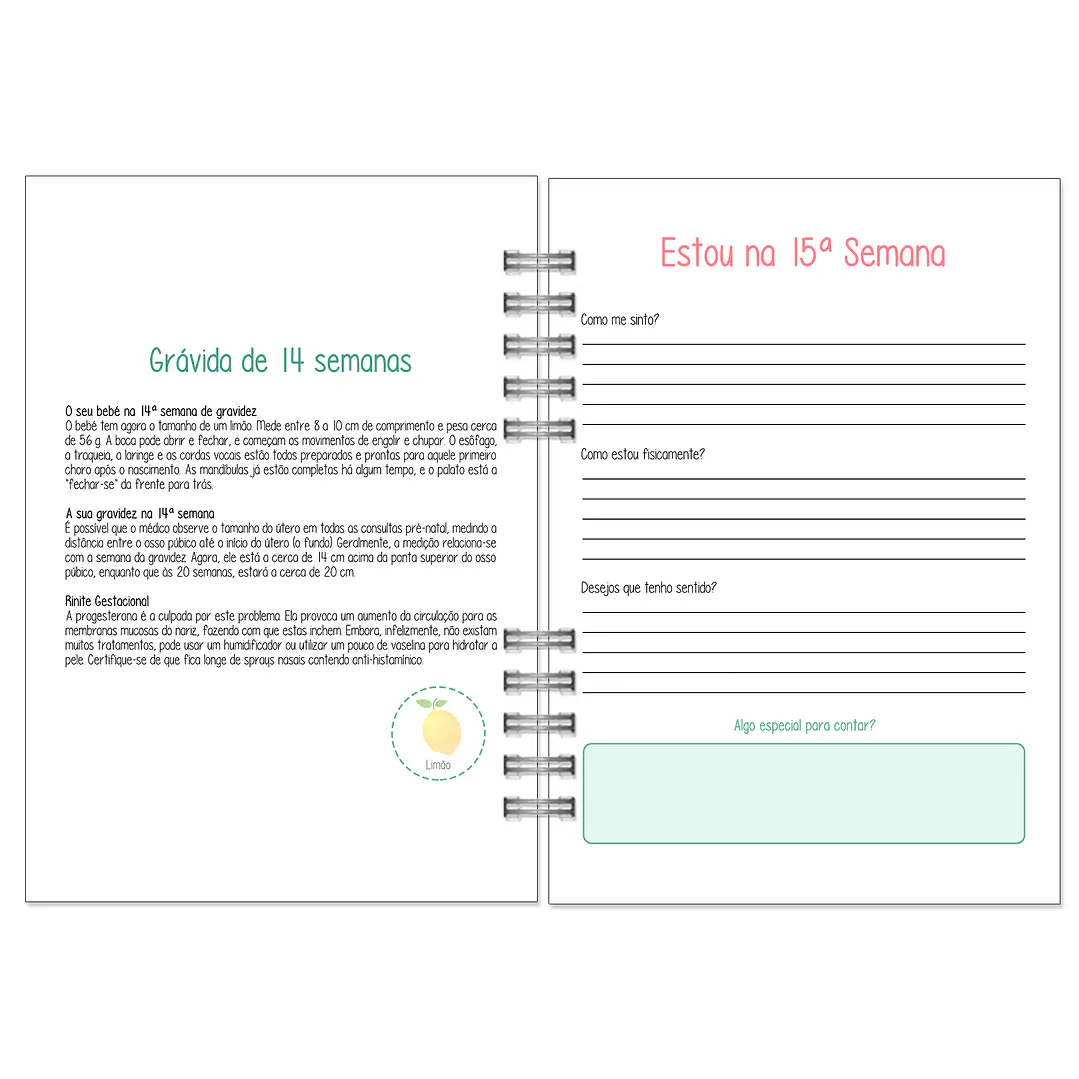 Agenda de Grávida 🤰 — Capa Primeira Viagem 💕 14