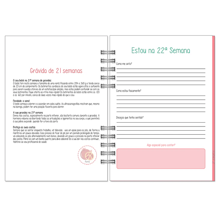 Agenda de Grávida 🤰 — Capa Primeira Viagem 💕 15