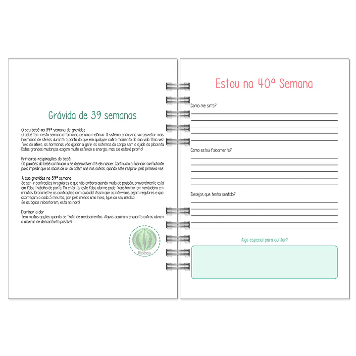 Agenda de Grávida 🤰 — Capa Primeira Viagem 💕 18