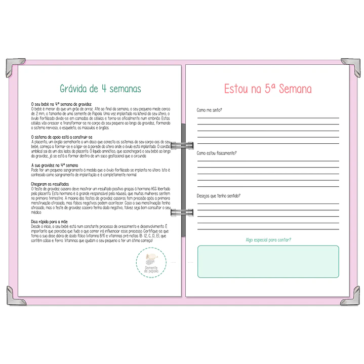 Dossier Agenda de Grávida 🤰 — Capa Maternidade Suave 🌸 10