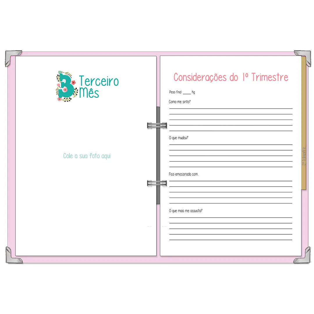 Dossier Agenda de Grávida 🤰 — Capa Maternidade Suave 🌸 11