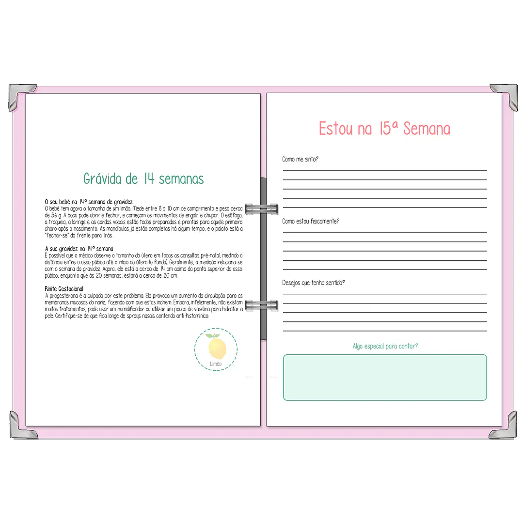 Dossier Agenda de Grávida 🤰 — Capa Maternidade Suave 🌸 13