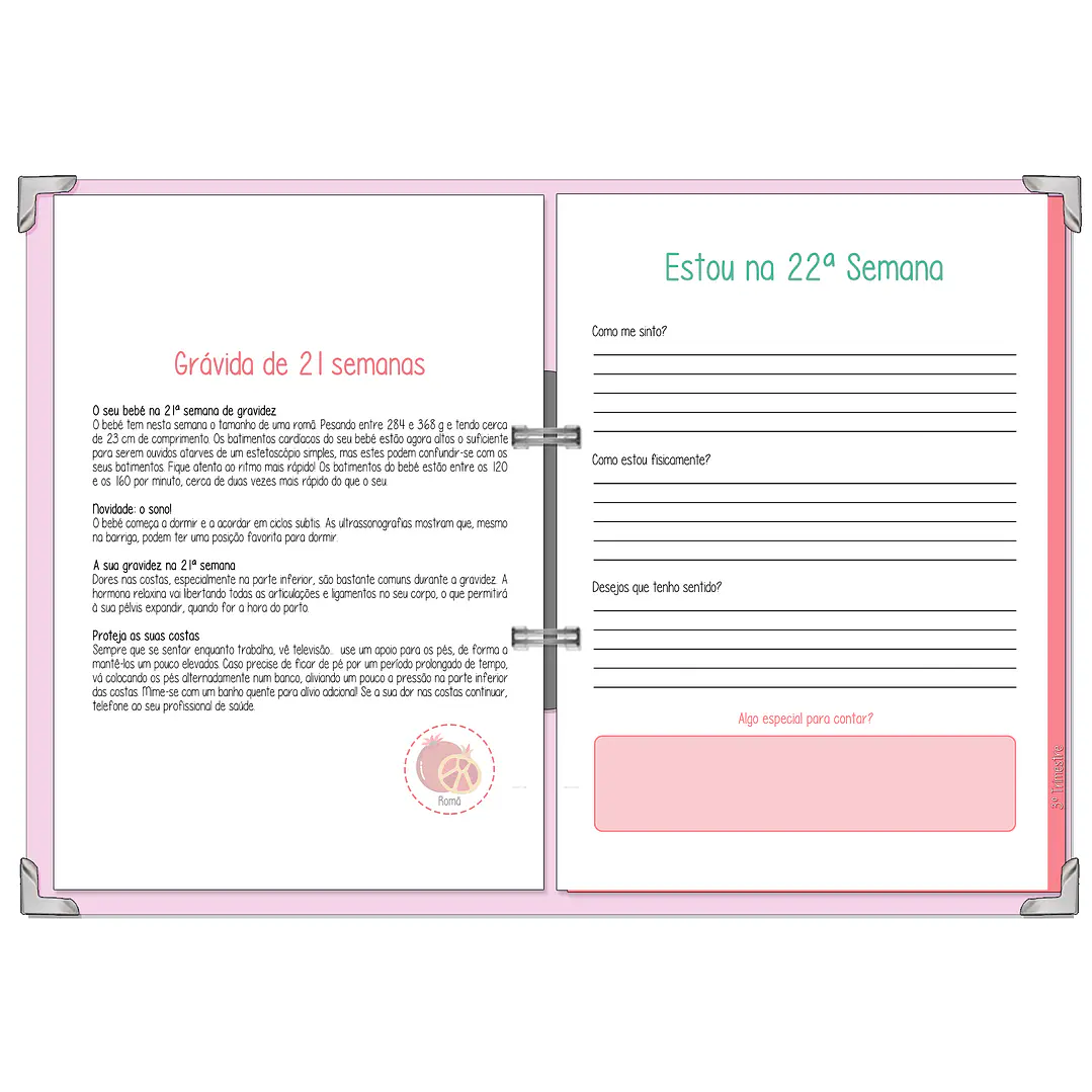 Dossier Agenda de Grávida 🤰 — Capa Maternidade Suave 🌸 14