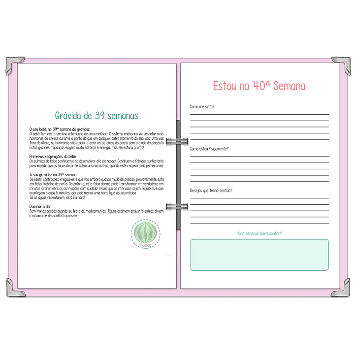 Dossier Agenda de Grávida 🤰 — Capa Maternidade Suave 🌸 17