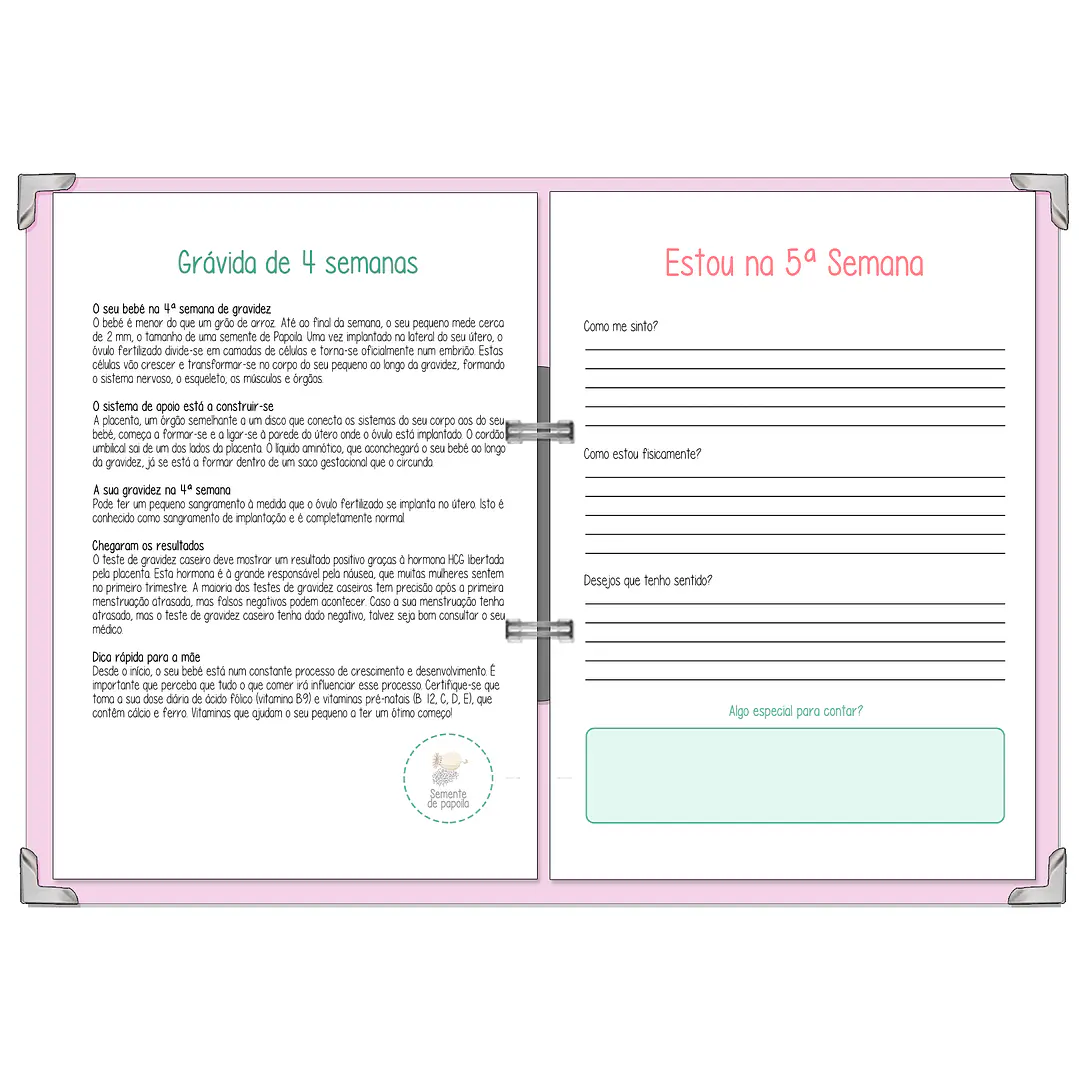 Dossier Agenda de Grávida 🤰— Capa Dois Corações 💛 10
