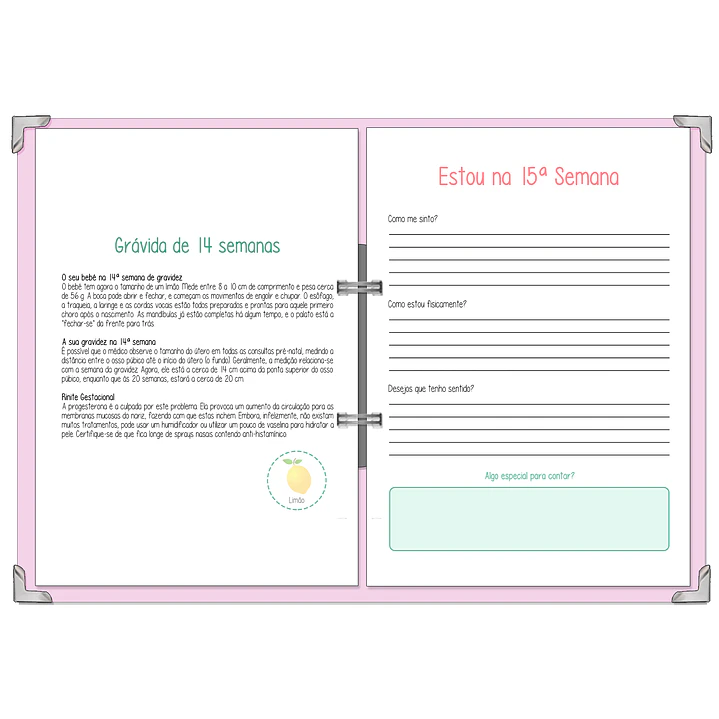 Dossier Agenda de Grávida 🤰— Capa Dois Corações 💛 13