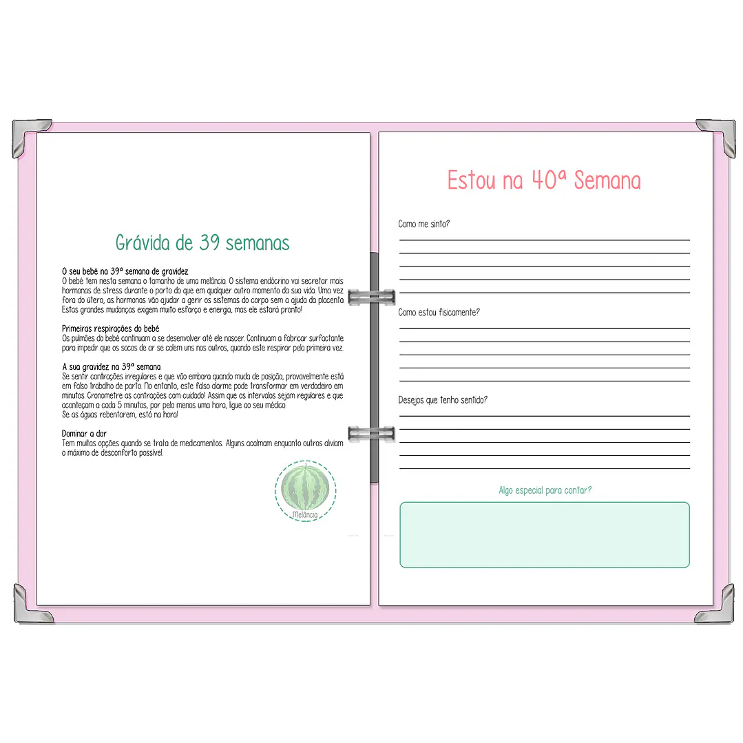 Dossier Agenda de Grávida 🤰— Capa Dois Corações 💛 17