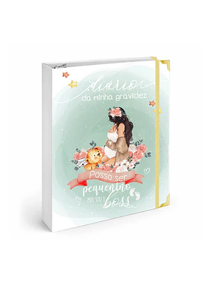 Dossier Agenda de Grávida 🤰— Miquinhas Eventos · Capa Boss Baby 💚