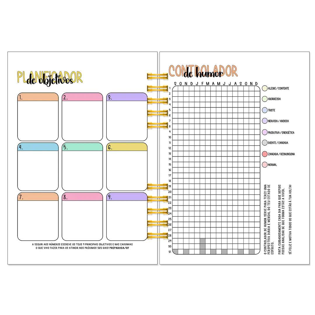 Agenda Anual Semanal 2027 ✨ Pré-Venda | Inclui Kit Oferta Exclusivo 🍑 8