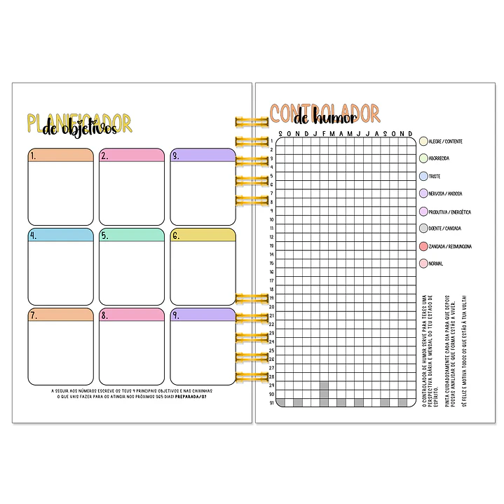 Agenda Anual Semanal 2027 ✨ Pré-Venda | Inclui Kit Oferta Exclusivo 🍑 8