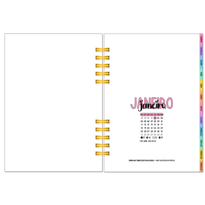 Agenda Anual Semanal 2027 ✨ Pré-Venda | Inclui Kit Oferta Exclusivo 🍑 9
