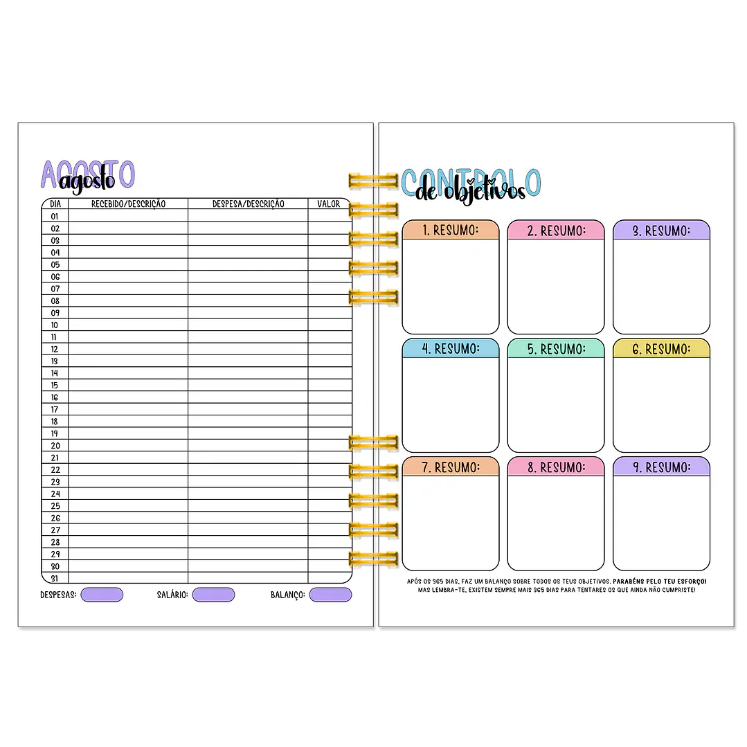 Agenda Profissional Diária 2026-2027 ✨ Pré-Venda | Inclui Kit Oferta Exclusivo 🍑 12
