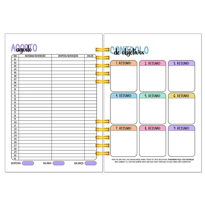 Agenda Profissional Diária 2026-2027 ✨ Pré-Venda | Inclui Kit Oferta Exclusivo 🍑 12