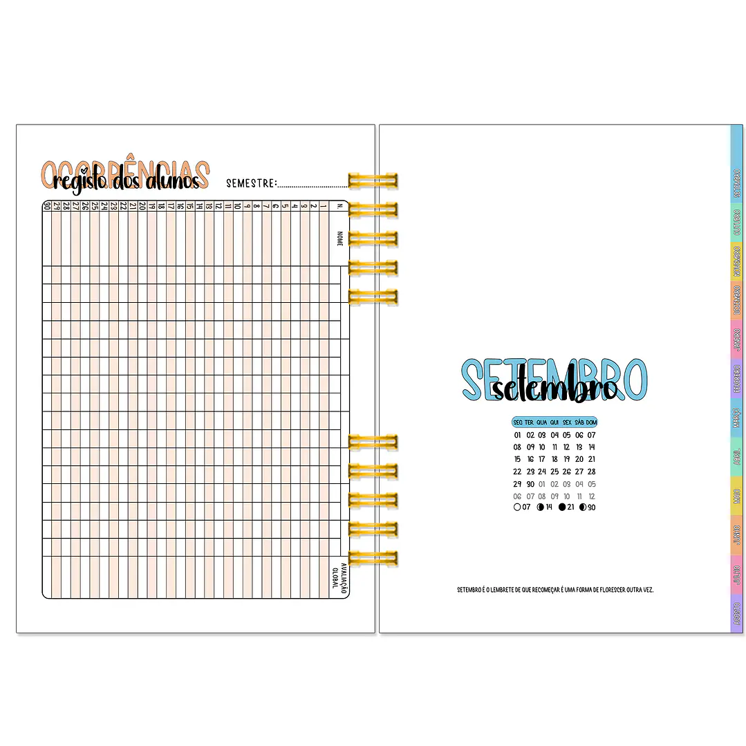 Agenda Professora 1ºCiclo 2026-2027 ✨ Pré-Venda | Inclui Kit Oferta Exclusivo 🍑 17