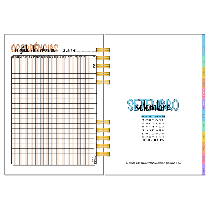 Agenda Professora 1ºCiclo 2026-2027 ✨ Pré-Venda | Inclui Kit Oferta Exclusivo 🍑 17