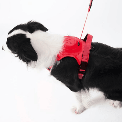 Arnés para perro con correa retráctil - rojo