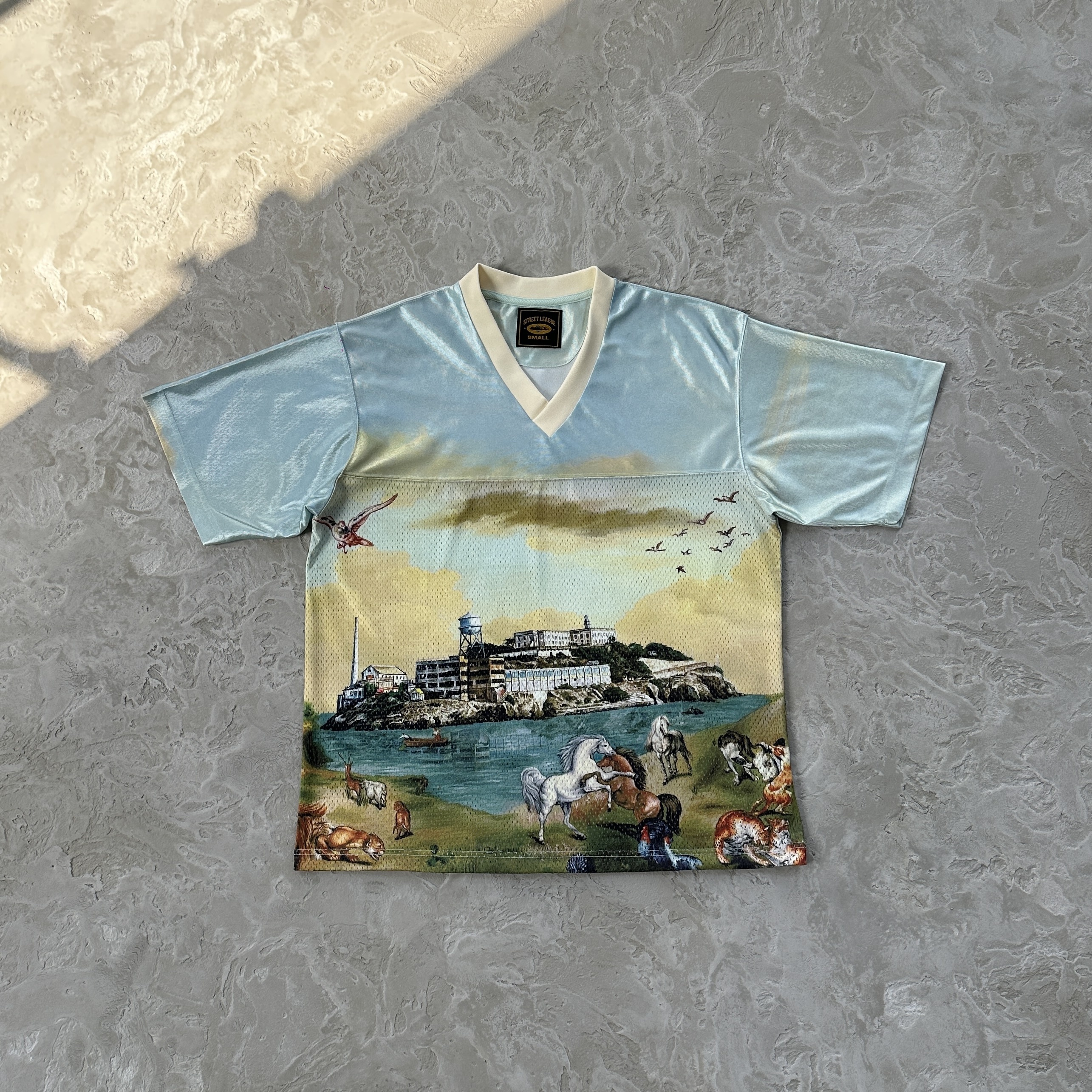 Camisola Corteiz Narnia 1