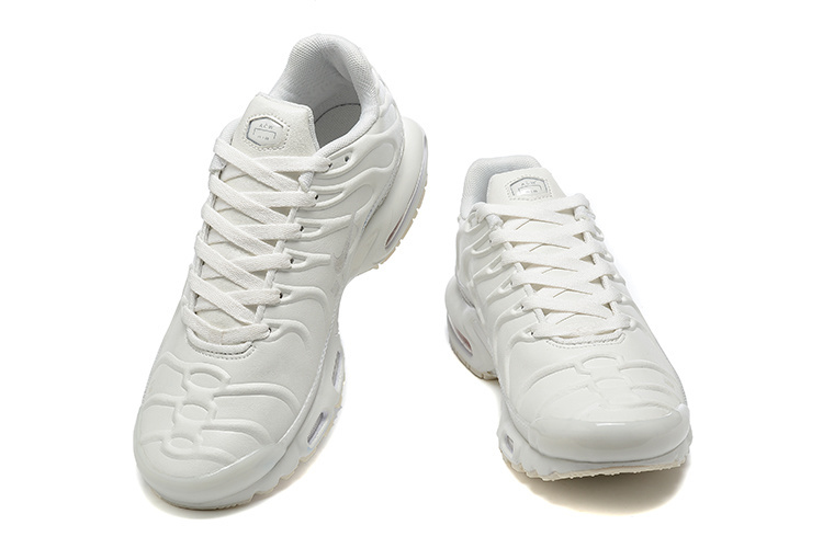 Sapatilhas Nike Air Max TN 1