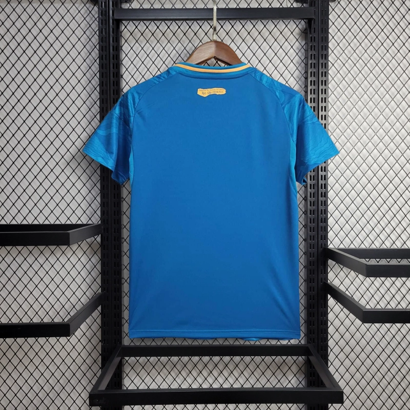 Camisola Cruzeiro E.C. Terceira 25/26 2