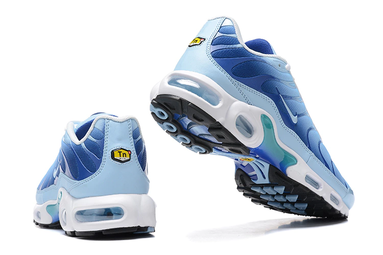 Sapatilhas Nike Air Max TN 6