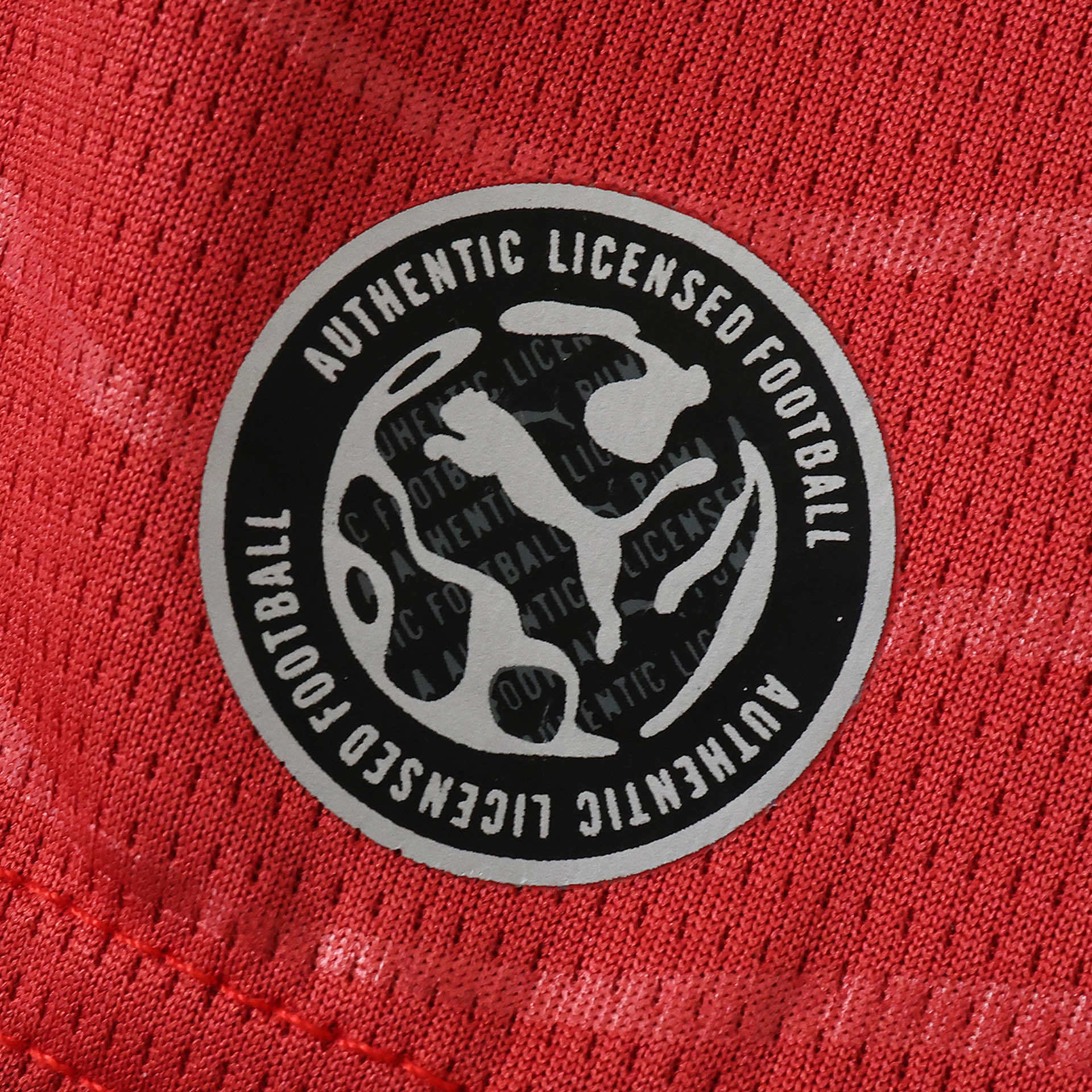 Top Portugal Principal 2026 5