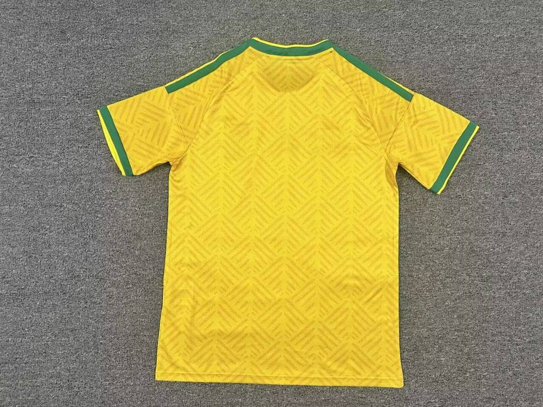 Camisola África do Sul Principal 2026 3