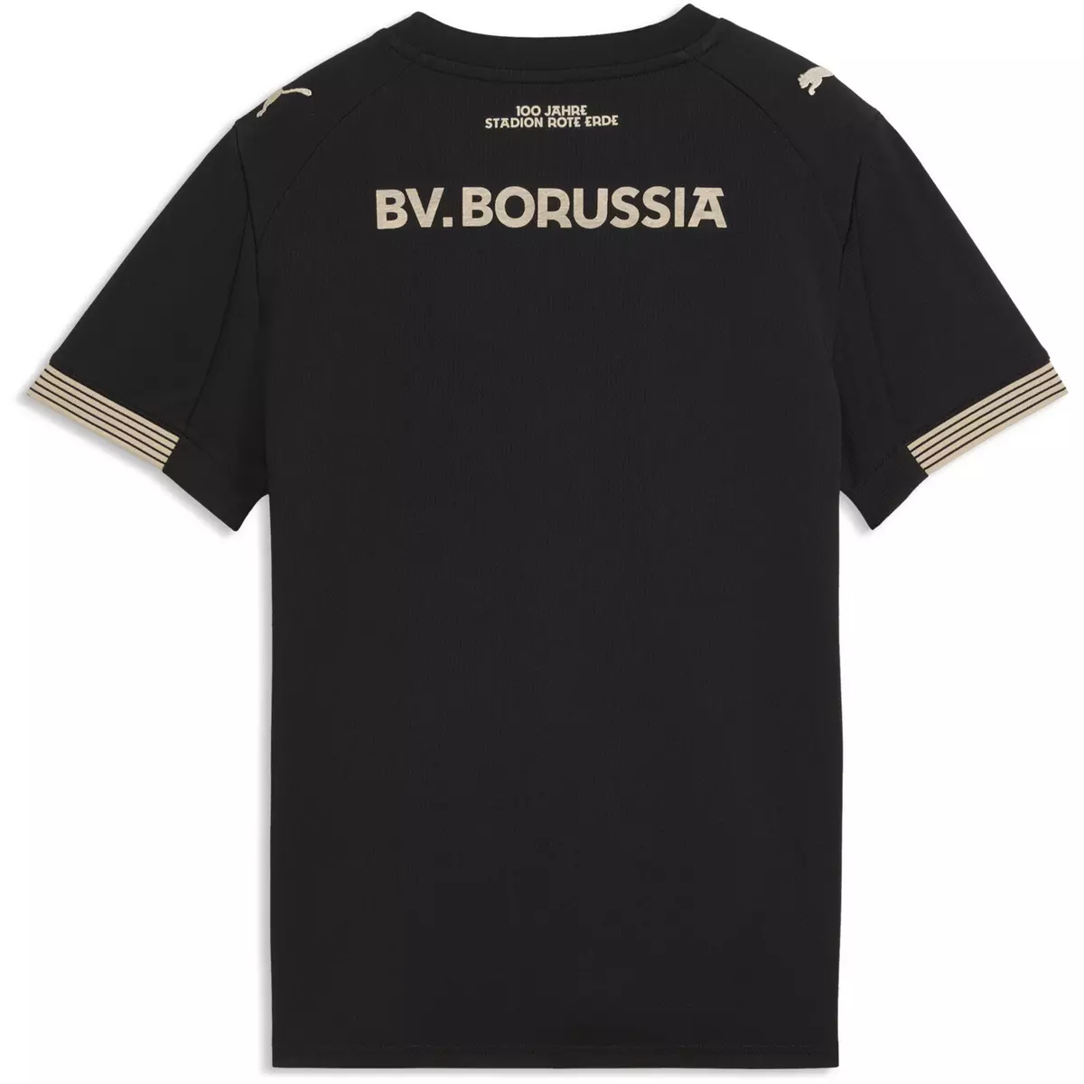 Camisola Borussia Dortmund Especial 2026 2