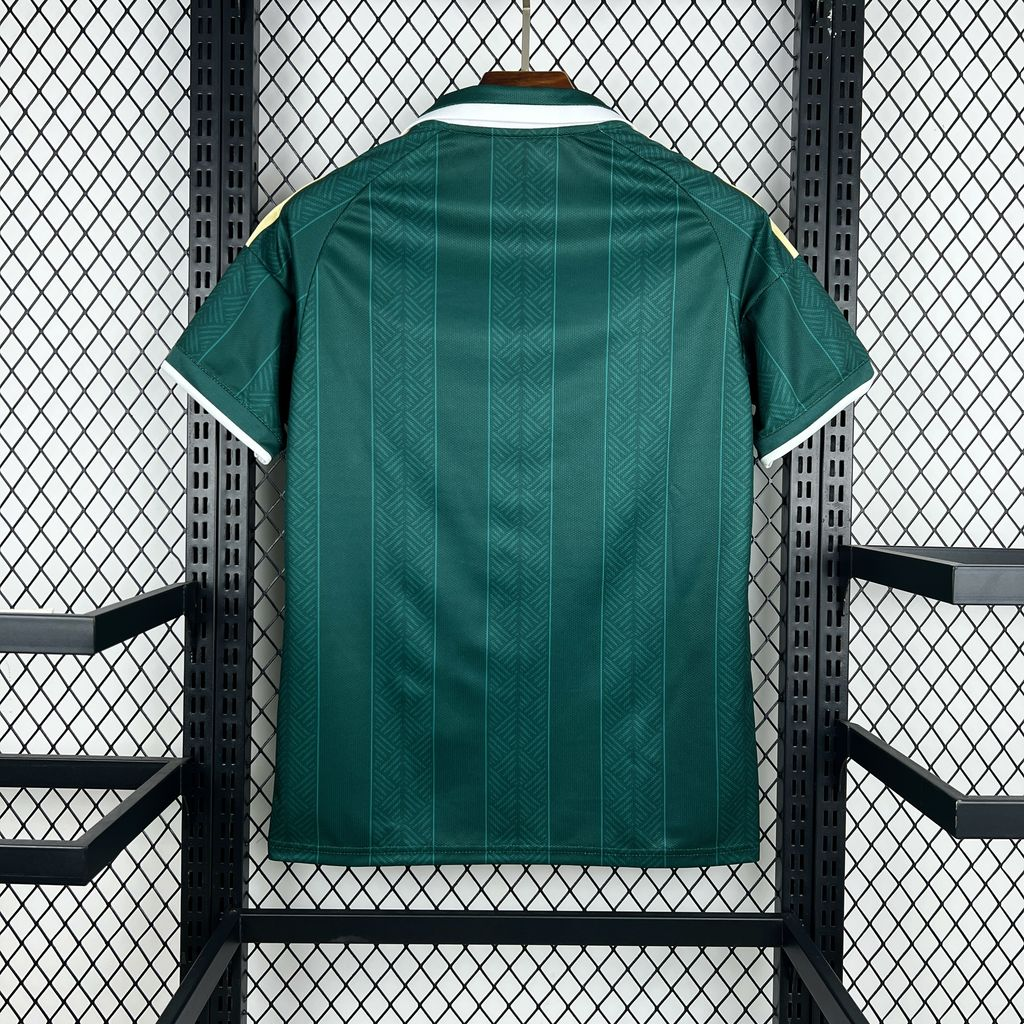 Camisola África do Sul Alternativa 2026 2