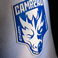 Camisola Campeão F.C.Porto Principal 25/26 - Pré-Encomenda - Thumbnail 4