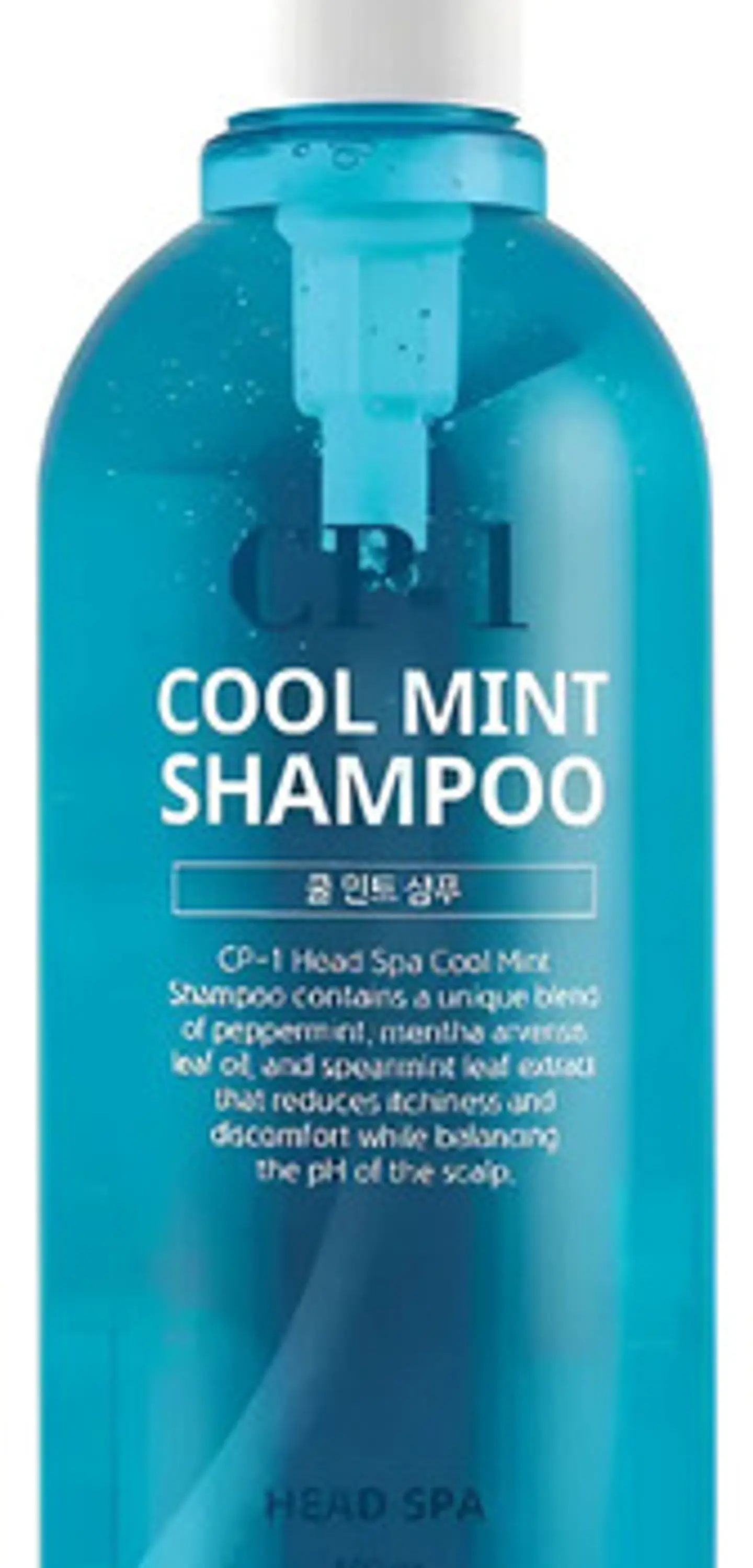Cp-1 Cool Mint Shampoo Head Spa 500ml 5