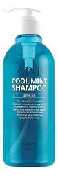Cp-1 Cool Mint Shampoo Head Spa 500ml - Miniatura 5