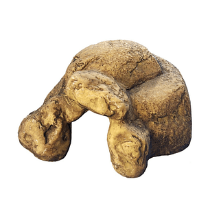 Cueva Exo Terra Small