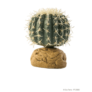 Cactus Exo Terra barril