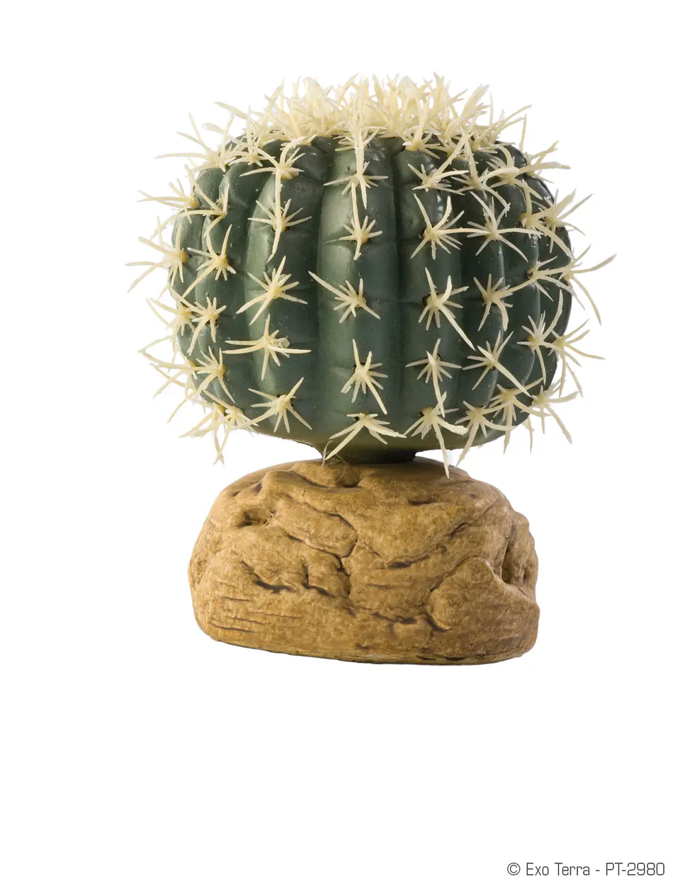 Cactus Exo Terra barril 1