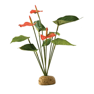 Planta Tropical Exo Terra Anthurium