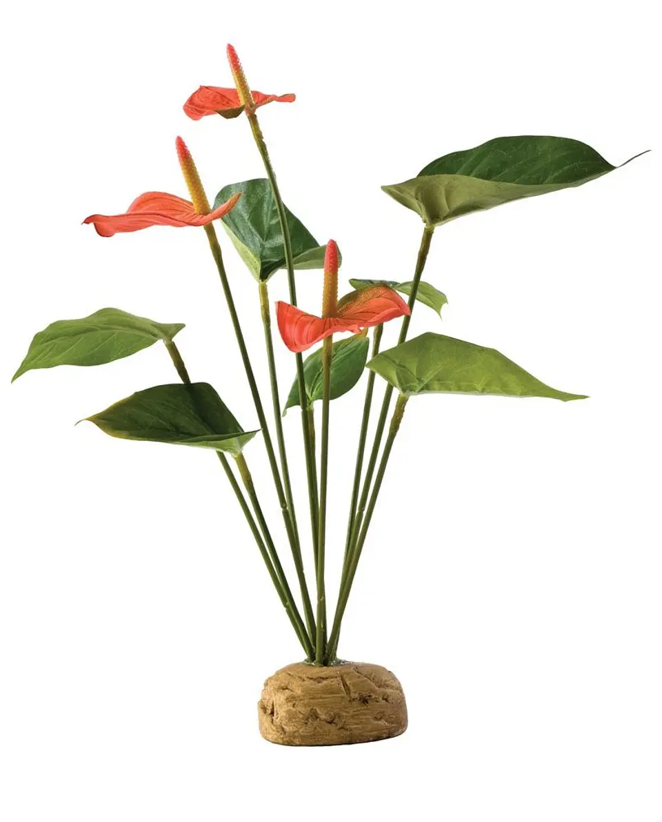 Planta Tropical Exo Terra Anthurium 1