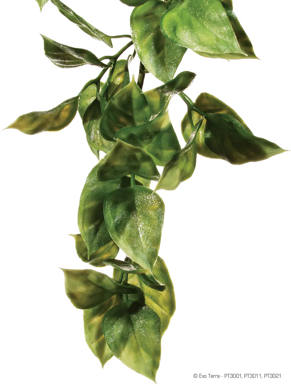 Planta colgante Amapallo Exo Terra 1